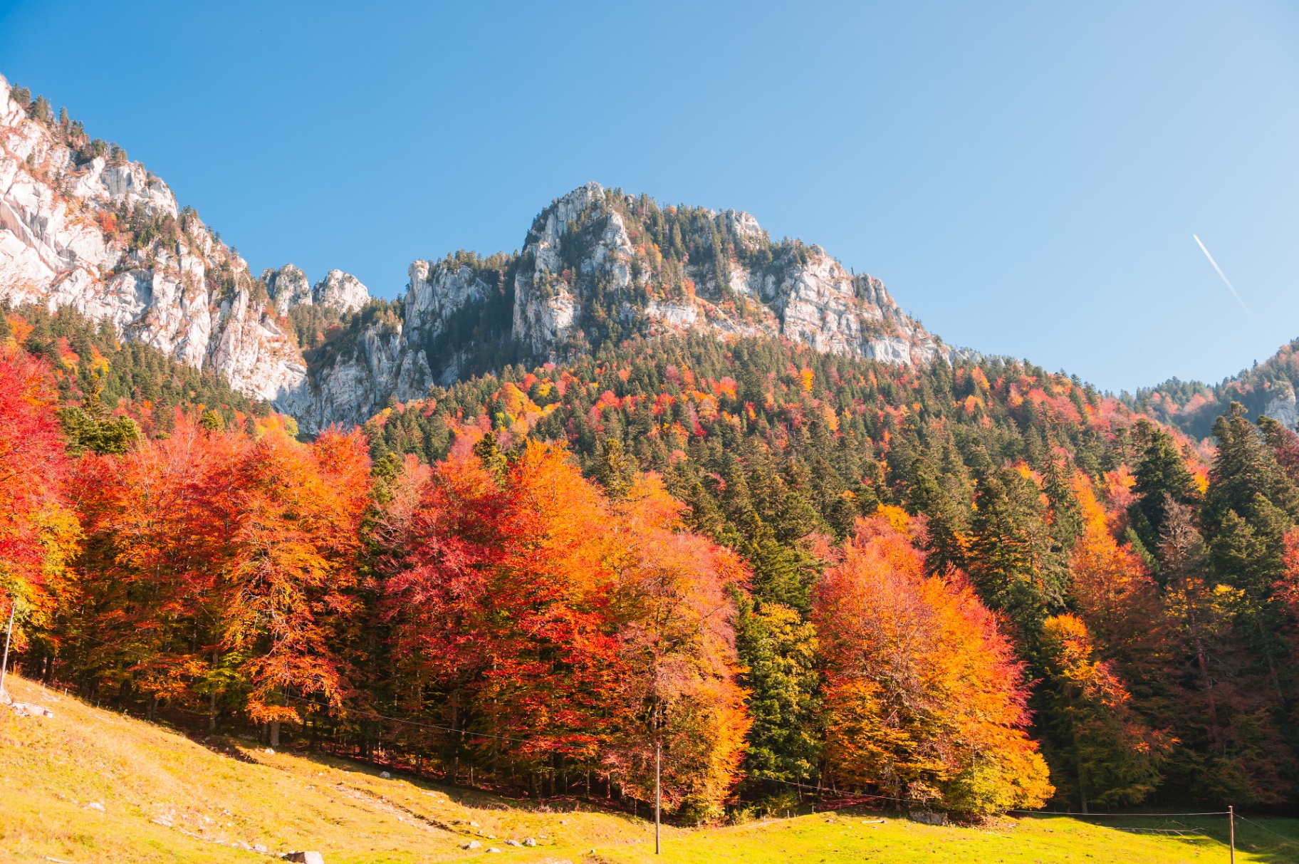 La Chartreuse en automne