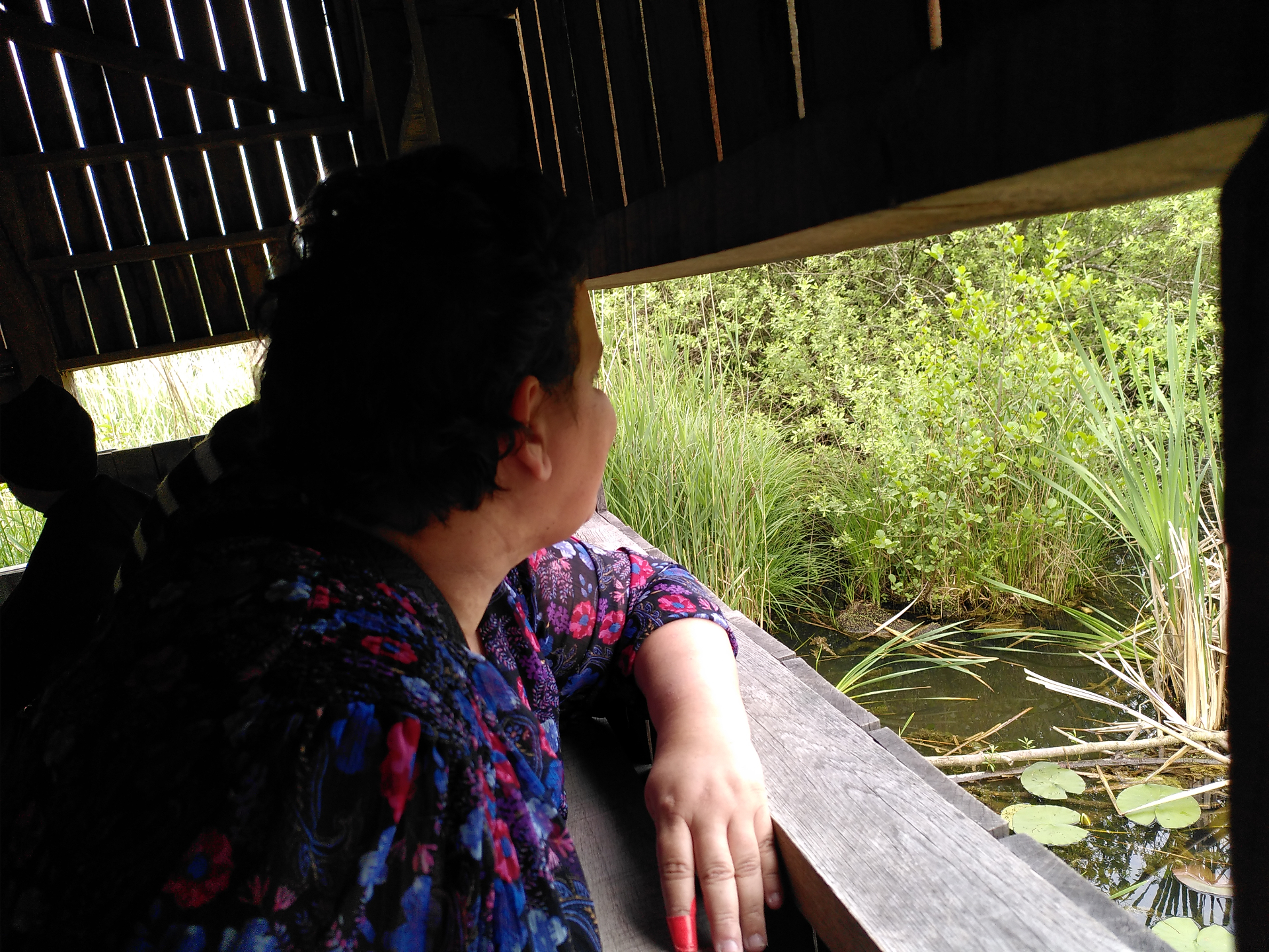 Observation de la nature