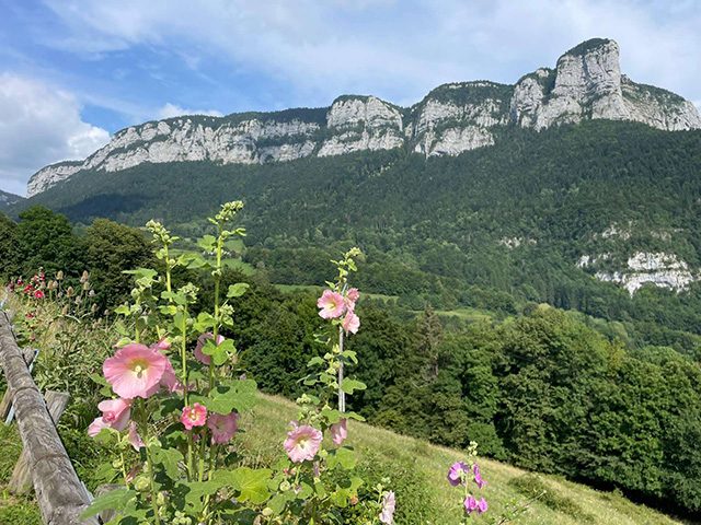 Vue sur les montagnes avec fleurs