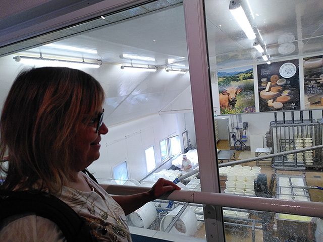 Visite de la fromagerie