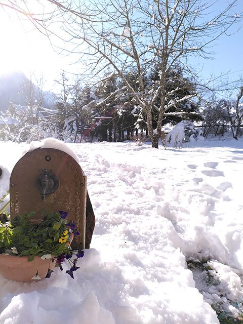 Jardin en hiver